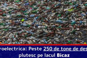 Hidroelectrica: Peste 250 de tone de deseuri plutesc pe lacul Bicaz