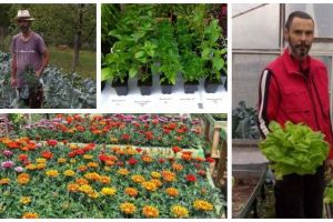 FOTO: Un bărbat din Alba a renunţat la o carieră în învăţământ şi IT şi cultivă plante aromatice şi legume. „Le cultiv cu mare drag, meticulozitate şi responsabilitate”