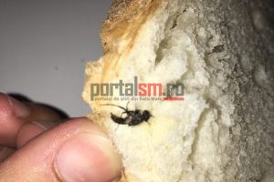 FOTO. Dezgustător! Pâine cu insecte la un supermarket din Satu Mare