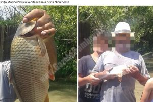 DÂMBOVIȚA: Haz de necaz! Unii au prins peşte în curţile inundate după precipitaţii