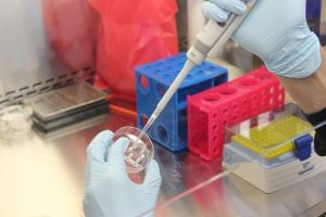 Medicamente pentru cancer sensibile la caldura pentru a lovi in mod direct tumorile