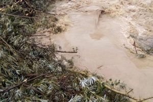 2,7 milioane de lei, necesare pentru refacerea digului care protejează de inundaţii staţia ...