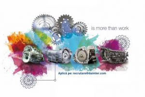 (P) Care este calea către locul de muncă ideal?