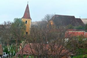 Aţi aflat de Clubul Cavalerilor Turnului Înclinat din Ruşi? Ultima lor acţiune