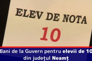 10 elevi de 10 din judeţul Neamţ vor primi stimulente financiare
