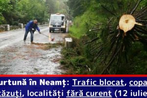 Furtună în Neamţ: Trafic blocat, copaci căzuţi, localităţi fără curent (12 iulie)