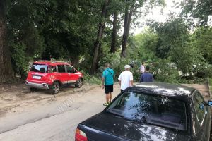 TÂRGOVIȘTE: Arbore prăbuşit în zona Parcului Chindia. Persoane blocate în parcarea Brotăcei