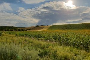 CHERGHEŞ – COZIA sau Turul Municipiului Deva vs. plimbare de duminică ploioasă