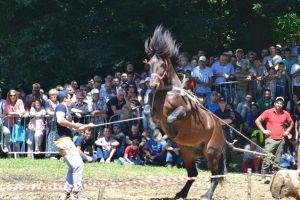 Concert Smiley şi Festival Ecvestru la Zilele Oraşului Râşnov