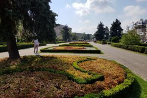 Actiuni ale angajatilor SGU, in ultima saptamana. Vezi aici raportul