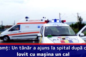 Neamţ: Un tânăr a ajuns la spital după ce a lovit cu maşina un cal