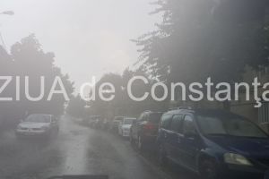 Probleme in municipiul Constanta din cauza furtunii. Mai multi copaci au cazut. O conduta de gaze fisurata 