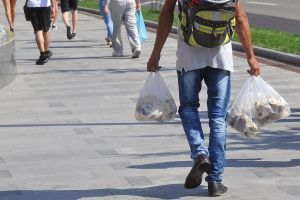 DSP avertizează: Evitaţi consumul de ciuperci fără aviz fito-sanitar