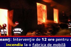Neamţ: Intervenţie de 12 ore pentru un incendiu la o fabrica de mobilă