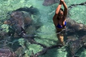 TERIFIANT! O CUNOSCUTĂ VEDETĂ a fost MUȘCATĂ de RECHINI, în timpul unei şedinţe foto - IMAGINI ÎN ARTICOL