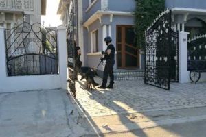 Mascatii au descins la Buzescu