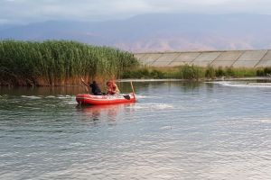 VIDEO FOTO Copil înghiţit de apele Oltului la Bradu. A fost găsit fără suflare