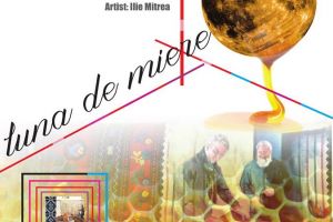 ”Luna de miere” la Casa Argintarului