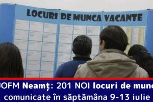 AJOFM Neamţ: 201 NOI locuri de muncă, comunicate în săptămâna 9-13 iulie
