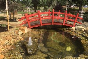 Imagini din Parcul Alpinet! Santierul e gata, dar parcul inca e protejat de gard
