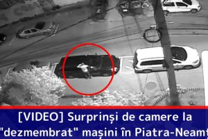 [VIDEO] Surprinşi de camerele de supraveghere la „dezmembrat” maşini în Piatra-Neamţ
