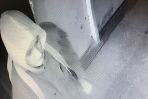 FOTO: El este piromanul căutat de poliţişti