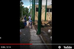 Familie de melteni la Zoo Bucov. Parintii se uita cum copiii lovesc pasarile cu picioarele/ VIDEO
