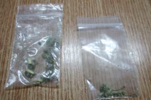 Politia Locala a prins 38 de drogati pe strazile Timisoarei, in sase luni