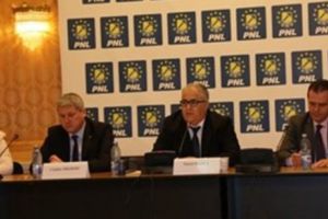 Un senator vorbeşte despre şedinţa vechilor PD-L-işti din Modrogan: Vrem să dăm un semnal de unitate în partid!