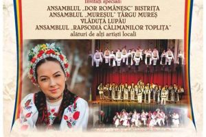 „CENTENAR TOPLIȚEAN” 1918-2018