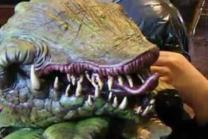 O PLANTĂ CARNIVORĂ RARĂ a fost descoperită în România. Locaţia s-a a ajuns CELEBRĂ şi mii de oameni o VIZITEAZĂ