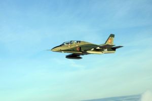 Un avion IAR 99 Șoim s-a prăbuşit în judeţul Bacău. Piloţii s-au catapultat