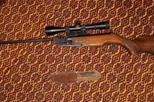 Animale salbatice in captivitate, arme si munitii, in casele unor suspecti de braconaj