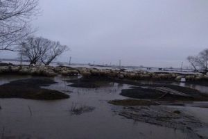 Peste 10 milioane de lei, nota de plată pentru ultimele inundaţii