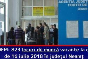 AJOFM: 823 locuri de muncă vacante la data de 16 iulie 2018 în judeţul Neamţ
