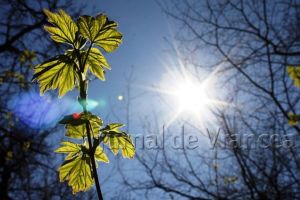 Iulie nu e chiar cuptor, spun meteorologii