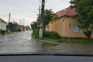 FOTO, ȘTIREA TA: Intersecţie cu probleme în Alba Iulia din cauza unui gard viu. Șofer: Era să am două accidente în ultima săptămână