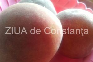 Piersicile contribuie la incetinirea procesului de imbatranire