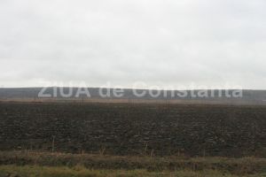 O societate multimilionara va furniza ingrasamant pentru Statiunea de Cercetare - Dezvoltare Agricola Valu lui Traian (document)