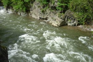 Ecologiştii, bucuroşi că Jiul revine în matca lui