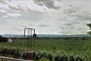 Fructex ar putea înfiinţa o pepinieră pomicolă de elită în Șerbăneşti