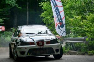 Trofeul Şugaş Băi Metalubs -Copie la indigo