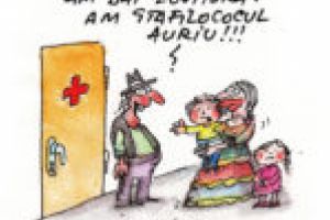 Insectarul cu nă(l)uci 17 iulie 2018