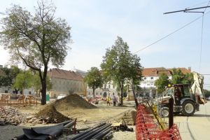 Primaria Timisoara, amenzi de doar 3.500 de lei pentru „agresarea” spatiilor verzi
