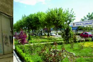 ,,RĂZBUNAREA TINERILOR PE COMUNITATE!”