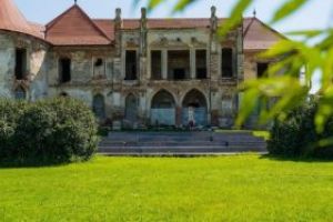 Avertisment dur al organizatorilor adresat tinerilor care participa la Electric Castle 2018: „Incepe campania «Toleranta Zero»“