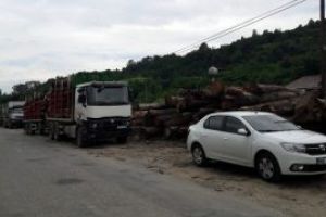 Actiune: Amenzi si lemn confiscat de politistii maramureseni