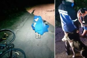 Biciclist accidentat salvat de un câine fără stăpân