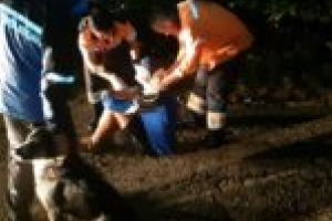 INEDIT. Biciclist accidentat, salvat de un câine maidanez pe Muntele Semenic