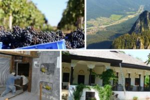 Prahova, obiectiv turistic în 2018. 10 locuri unde merită să mergi vara asta